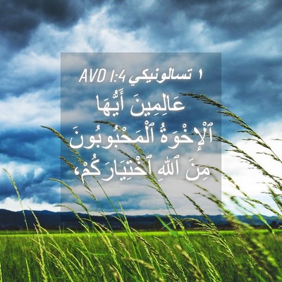 Picture 04 - ١ تسالونيكي 1:4 AVD - عَالِمِينَ أَيُّهَا - Bible Verse Picture