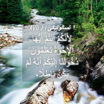 Picture 04 - ١ تسالونيكي 2:1 AVD - لِأَنَّكُمْ أَنْتُمْ - Bible Verse Picture