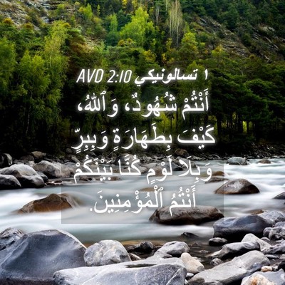 Picture 04 - ١ تسالونيكي 2:10 AVD - أَنْتُمْ شُهُودٌ، - Bible Verse Picture