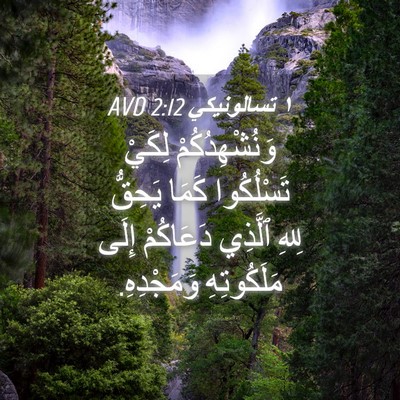 Picture 04 - ١ تسالونيكي 2:12 AVD - وَنُشْهِدُكُمْ لِكَيْ - Bible Verse Picture