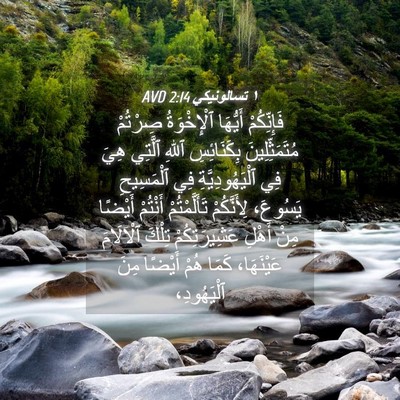 Picture 04 - ١ تسالونيكي 2:14 AVD - فَإِنِّكُمْ أَيُّهَا - Bible Verse Picture