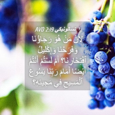Picture 04 - ١ تسالونيكي 2:19 AVD - لِأَنْ مَنْ هُوَ - Bible Verse Picture