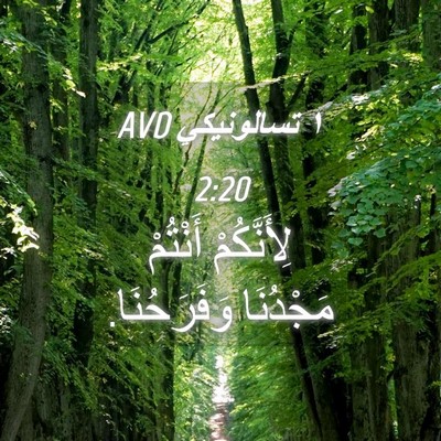 Picture 04 - ١ تسالونيكي 2:20 AVD - لِأَنَّكُمْ أَنْتُمْ - Bible Verse Picture