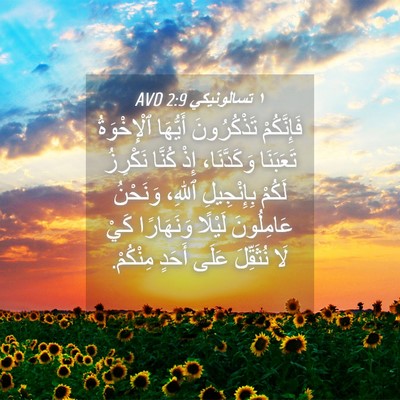 Picture 04 - ١ تسالونيكي 2:9 AVD - فَإِنَّكُمْ تَذْكُرُونَ - Bible Verse Picture