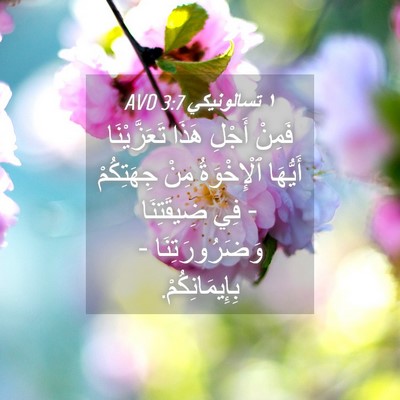 Picture 04 - ١ تسالونيكي 3:7 AVD - فَمِنْ أَجْلِ هَذَا - Bible Verse Picture