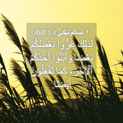 Picture 04 - ١ تسالونيكي 5:11 AVD - لِذَلِكَ عَزُّوا - Bible Verse Picture