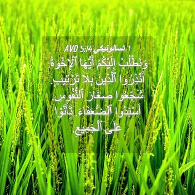 Picture 04 - ١ تسالونيكي 5:14 AVD - وَنَطْلُبُ إِلَيْكُمْ - Bible Verse Picture