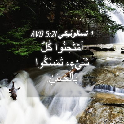 Picture 04 - ١ تسالونيكي 5:21 AVD - ٱمْتَحِنُوا كُلَّ شَيْءٍ، - Bible Verse Picture