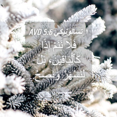 Picture 04 - ١ تسالونيكي 5:6 AVD - فَلَا نَنَمْ إِذًا - Bible Verse Picture