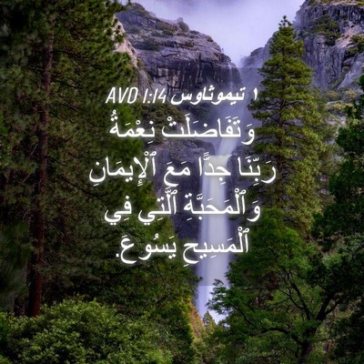 Picture 04 - ١ تيموثاوس 1:14 AVD - وَتَفَاضَلَتْ نِعْمَةُ - Bible Verse Picture