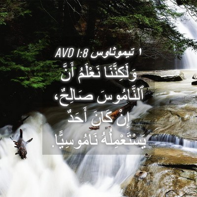 Picture 04 - ١ تيموثاوس 1:8 AVD - وَلَكِنَّنَا نَعْلَمُ - Bible Verse Picture