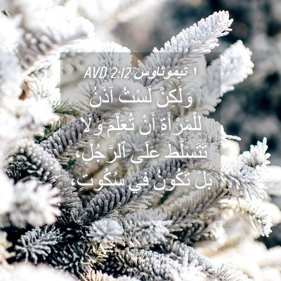 Picture 04 - ١ تيموثاوس 2:12 AVD - وَلَكِنْ لَسْتُ آذَنُ - Bible Verse Picture