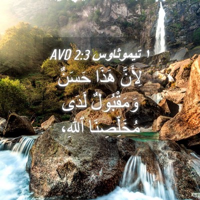 Picture 04 - ١ تيموثاوس 2:3 AVD - لِأَنَّ هَذَا حَسَنٌ - Bible Verse Picture