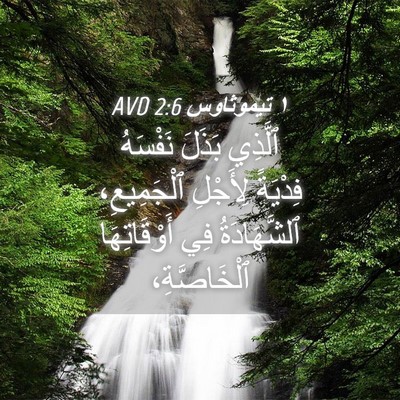 Picture 04 - ١ تيموثاوس 2:6 AVD - ٱلَّذِي بَذَلَ نَفْسَهُ - Bible Verse Picture