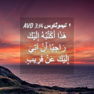Picture 04 - ١ تيموثاوس 3:14 AVD - هَذَا أَكْتُبُهُ إِلَيْكَ - Bible Verse Picture