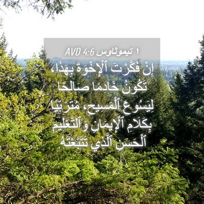 Picture 04 - ١ تيموثاوس 4:6 AVD - إِنْ فَكَّرْتَ - Bible Verse Picture