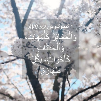 Picture 04 - ١ تيموثاوس 5:2 AVD - وَٱلْعَجَائِزَ - Bible Verse Picture