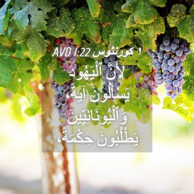Picture 04 - ١ كورنثوس 1:22 AVD - لِأَنَّ ٱلْيَهُودَ - Bible Verse Picture