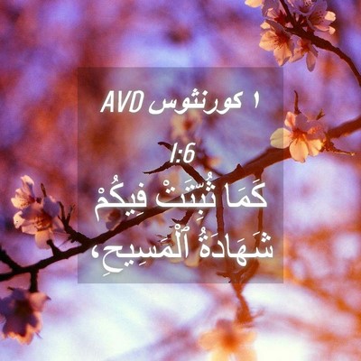Picture 04 - ١ كورنثوس 1:6 AVD - كَمَا ثُبِّتَتْ فِيكُمْ - Bible Verse Picture