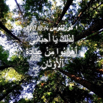 Picture 04 - ١ كورنثوس 10:14 AVD - لِذَلِكَ يَا أَحِبَّائِي - Bible Verse Picture