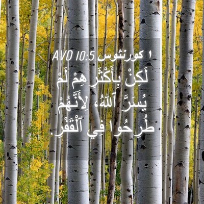 Picture 04 - ١ كورنثوس 10:5 AVD - لَكِنْ بِأَكْثَرِهِمْ - Bible Verse Picture