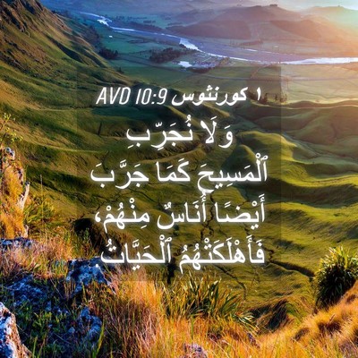 Picture 04 - ١ كورنثوس 10:9 AVD - وَلَا نُجَرِّبِ - Bible Verse Picture