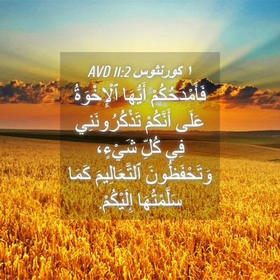 Picture 04 - ١ كورنثوس 11:2 AVD - فَأَمْدَحُكُمْ أَيُّهَا - Bible Verse Picture