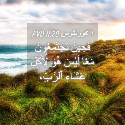Picture 04 - ١ كورنثوس 11:20 AVD - فَحِينَ تَجْتَمِعُونَ - Bible Verse Picture