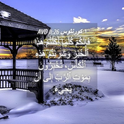 Picture 04 - ١ كورنثوس 11:26 AVD - فَإِنَّكُمْ كُلَّمَا - Bible Verse Picture