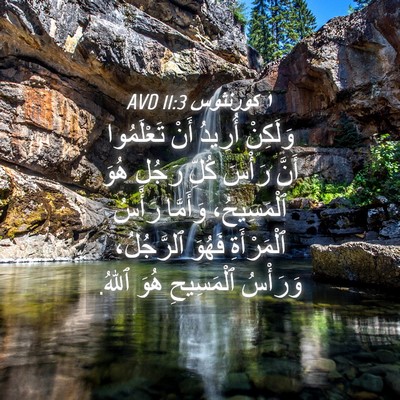 Picture 04 - ١ كورنثوس 11:3 AVD - وَلَكِنْ أُرِيدُ أَنْ - Bible Verse Picture