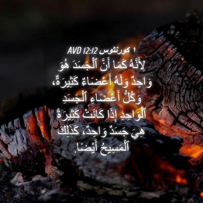 Picture 04 - ١ كورنثوس 12:12 AVD - لِأَنَّهُ كَمَا أَنَّ - Bible Verse Picture