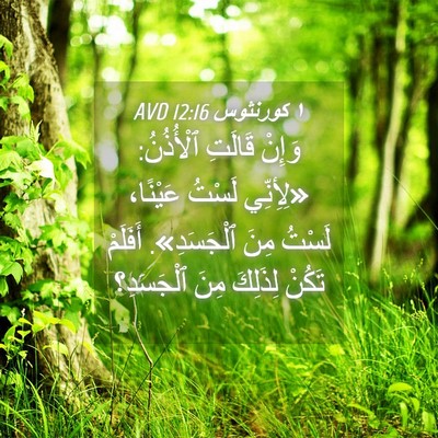 Picture 04 - ١ كورنثوس 12:16 AVD - وَإِنْ قَالَتِ ٱلْأُذُنُ: - Bible Verse Picture