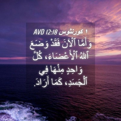 Picture 04 - ١ كورنثوس 12:18 AVD - وَأَمَّا ٱلْآنَ فَقَدْ - Bible Verse Picture