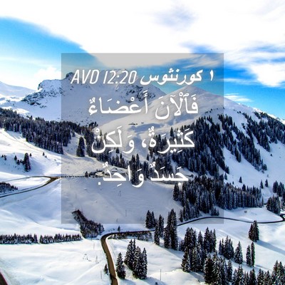 Picture 04 - ١ كورنثوس 12:20 AVD - فَٱلْآنَ أَعْضَاءٌ - Bible Verse Picture