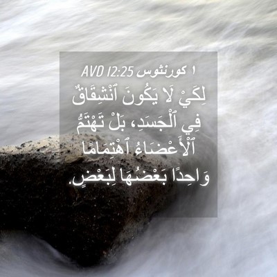 Picture 04 - ١ كورنثوس 12:25 AVD - لِكَيْ لَا يَكُونَ - Bible Verse Picture