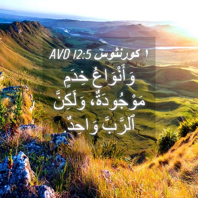 Picture 04 - ١ كورنثوس 12:5 AVD - وَأَنْوَاعُ خِدَمٍ - Bible Verse Picture