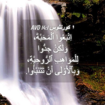 Picture 04 - ١ كورنثوس 14:1 AVD - اِتْبَعُوا ٱلْمَحَبَّةَ، - Bible Verse Picture