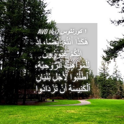 Picture 04 - ١ كورنثوس 14:12 AVD - هَكَذَا أَنْتُمْ أَيْضًا، - Bible Verse Picture