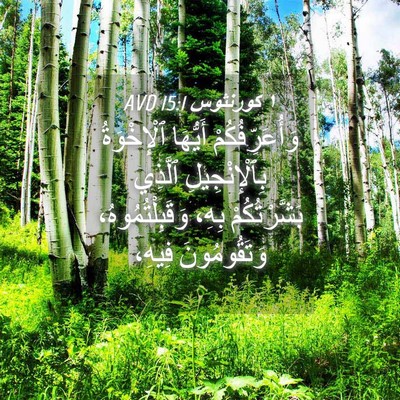 Picture 04 - ١ كورنثوس 15:1 AVD - وَأُعَرِّفُكُمْ أَيُّهَا - Bible Verse Picture