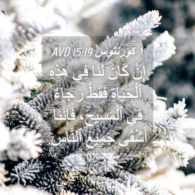 Picture 04 - ١ كورنثوس 15:19 AVD - إِنْ كَانَ لَنَا فِي - Bible Verse Picture