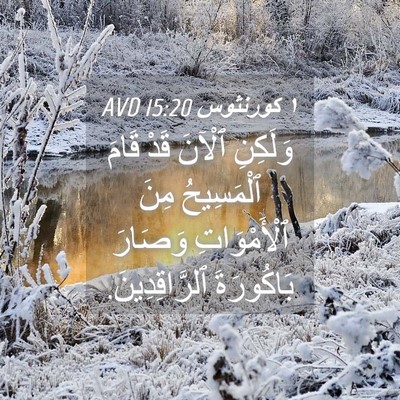 Picture 04 - ١ كورنثوس 15:20 AVD - وَلَكِنِ ٱلْآنَ قَدْ قَامَ - Bible Verse Picture