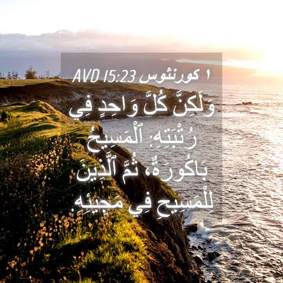Picture 04 - ١ كورنثوس 15:23 AVD - وَلَكِنَّ كُلَّ وَاحِدٍ - Bible Verse Picture