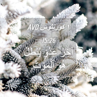 Picture 04 - ١ كورنثوس 15:26 AVD - آخِرُ عَدُوٍّ يُبْطَلُ - Bible Verse Picture