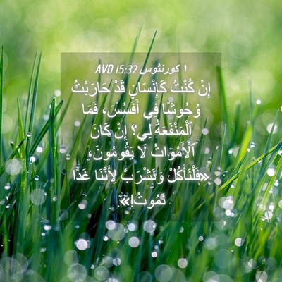 Picture 04 - ١ كورنثوس 15:32 AVD - إِنْ كُنْتُ كَإِنْسَانٍ - Bible Verse Picture