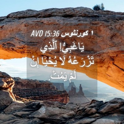Picture 04 - ١ كورنثوس 15:36 AVD - يَاغَبِيُّ! ٱلَّذِي - Bible Verse Picture