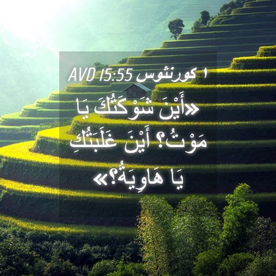 Picture 04 - ١ كورنثوس 15:55 AVD - «أَيْنَ شَوْكَتُكَ يَا - Bible Verse Picture