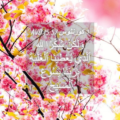Picture 04 - ١ كورنثوس 15:57 AVD - وَلَكِنْ شُكْرًا لِلهِ - Bible Verse Picture