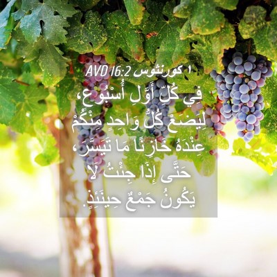 Picture 04 - ١ كورنثوس 16:2 AVD - فِي كُلِّ أَوَّلِ - Bible Verse Picture