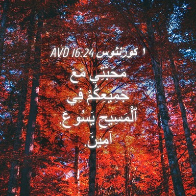 Picture 04 - ١ كورنثوس 16:24 AVD - مَحَبَّتِي مَعَ - Bible Verse Picture