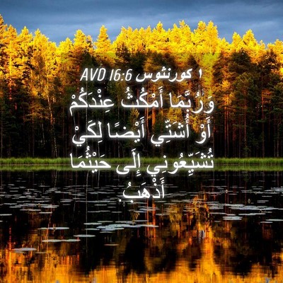 Picture 04 - ١ كورنثوس 16:6 AVD - وَرُبَّمَا أَمْكُثُ - Bible Verse Picture